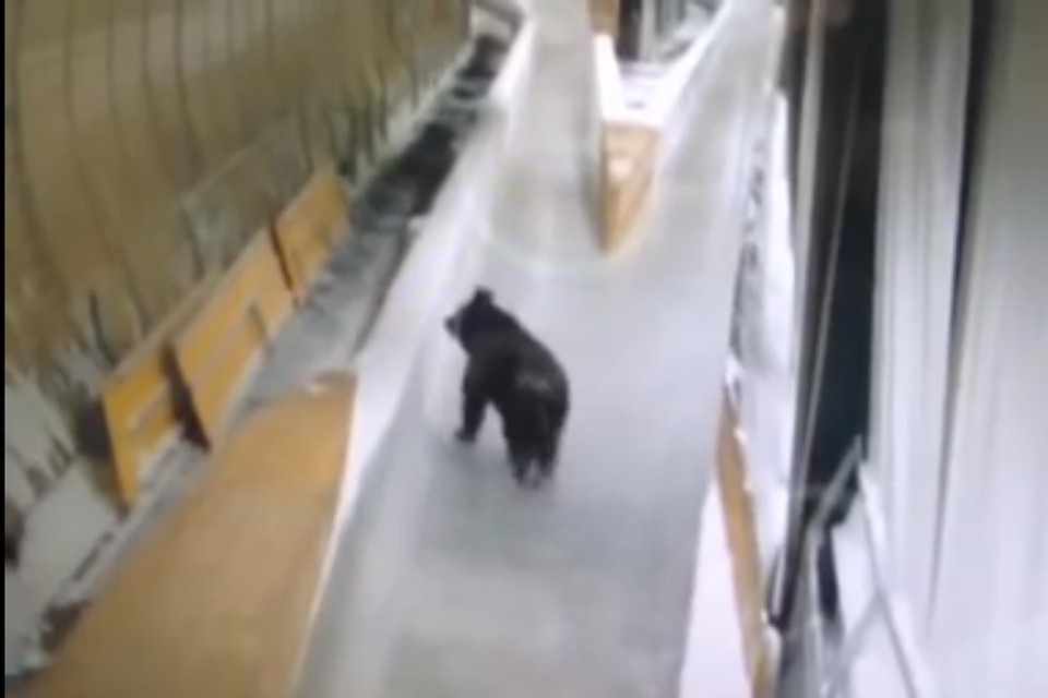 Фото: кадр из видео.