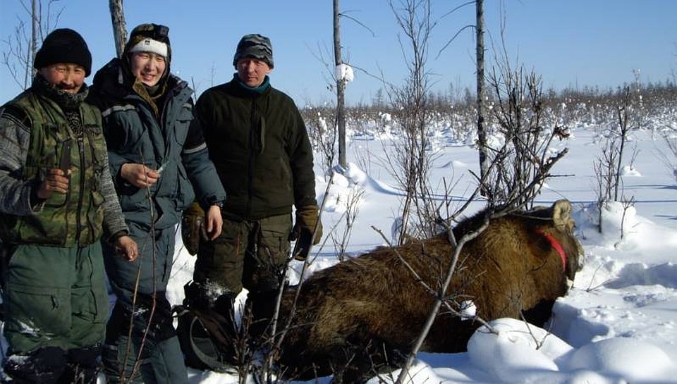 Инспекторы будут наблюдать за жизнедеятельностью животного.