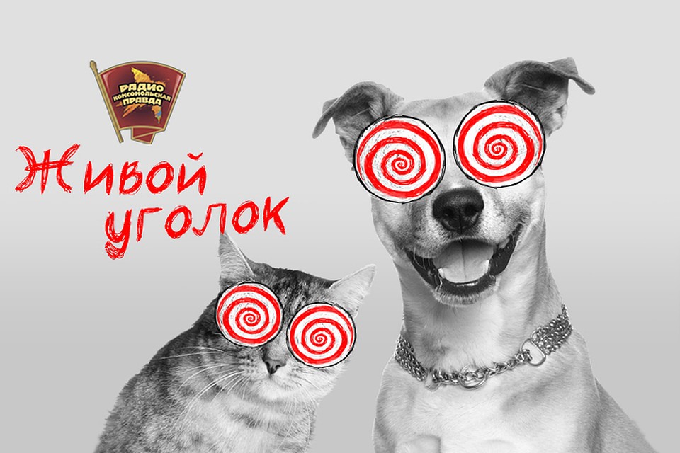 Живой уголок.