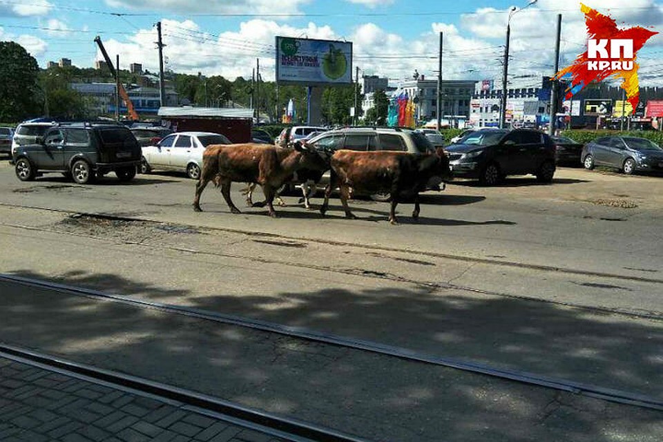 Самые свежие новости в таджикистане