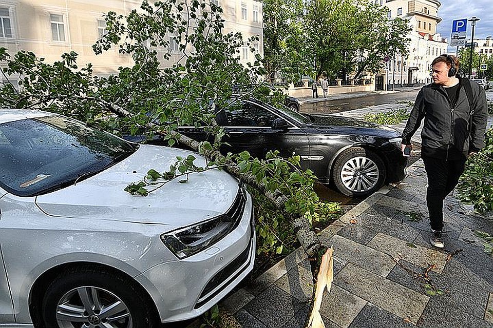 В 2016 году в России произошло 590 опасных погодных явлений. К ним относят ураганы и смерчи, сильные ливни и снегопад