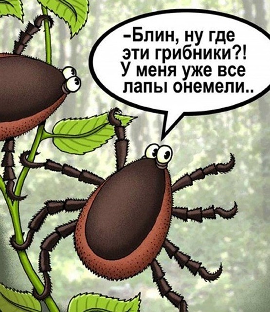 Анекдоты про клещи Анекдоты про клещи