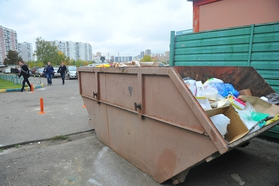 В мусорном контейнере нашли женские ноги