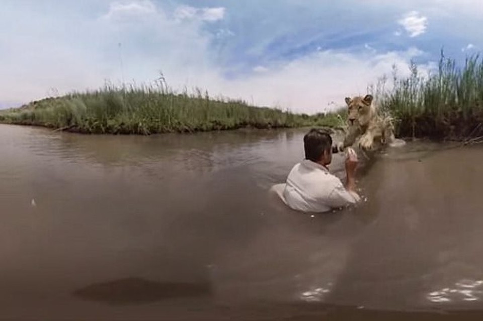Встреча двух старых друзей. Фото: скрин-шот видео