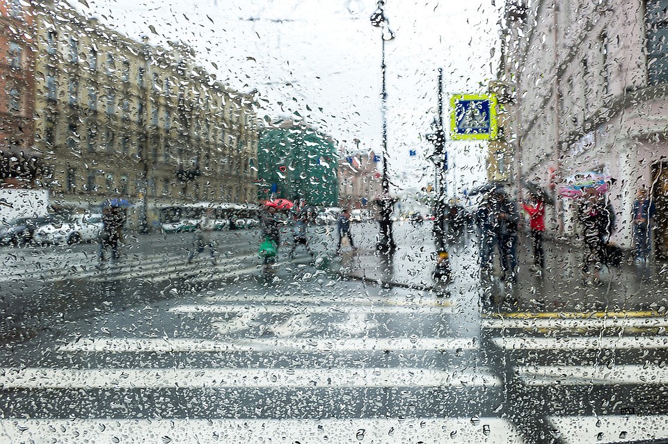 Погода на следующую неделю тоже не радует.