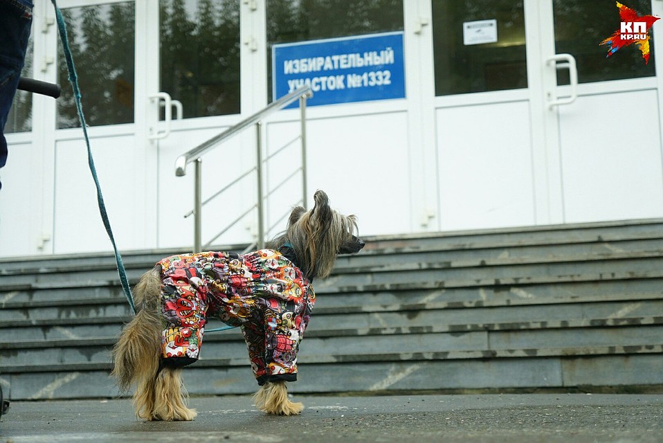 . Фото: Алексей БУЛАТОВ