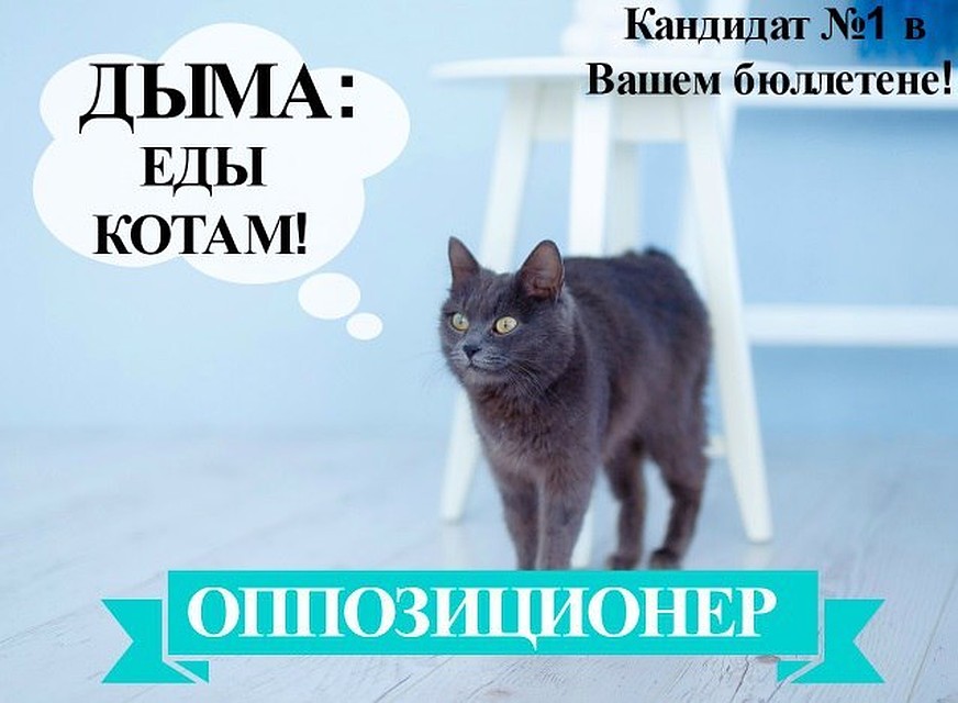 Кандидат в президенты Дыма