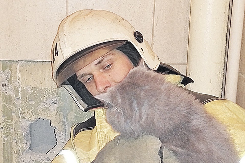 Пушистого «арестанта» постарались извлечь с минимальными разрушениями. Фото: ГУ МЧС России по Омской области