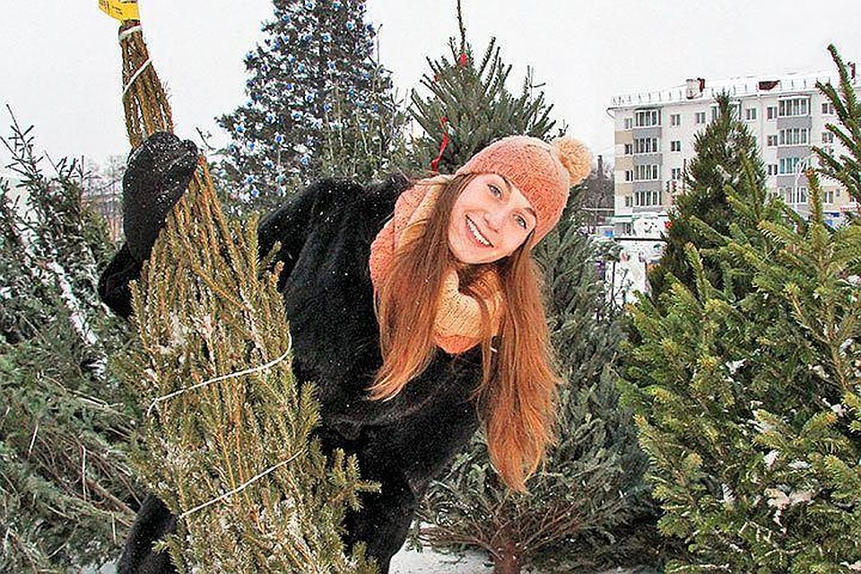 Согласно опросам, в этом году россияне решили не экономить на елках