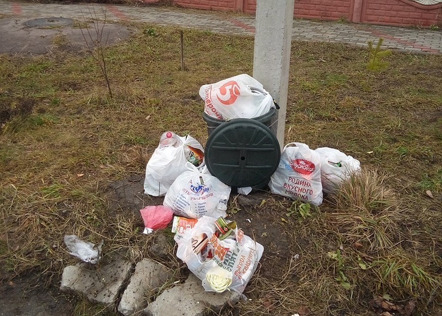Контейнеры переполнились уже в понедельник. Что же будет к пятнице?