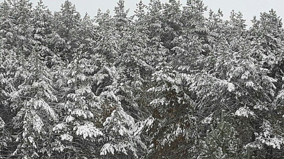 В некоторых районах морозы достигнут -23 ºС