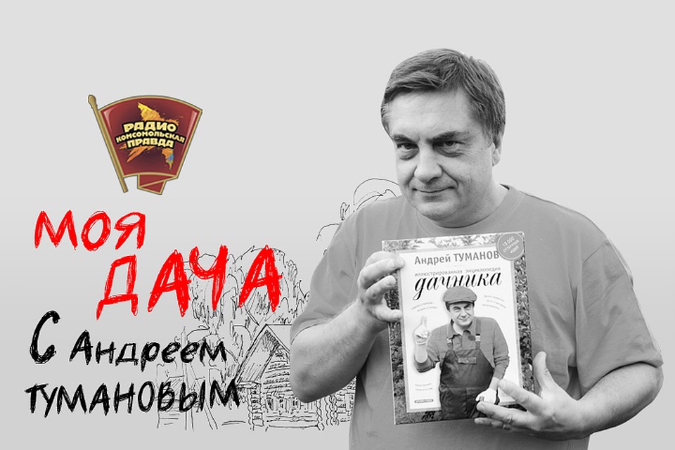 Главными дачными секретами со слушателями Радио «Комсомольская правда» в эфире своей программы «Моя дача» делится Андрей Туманов