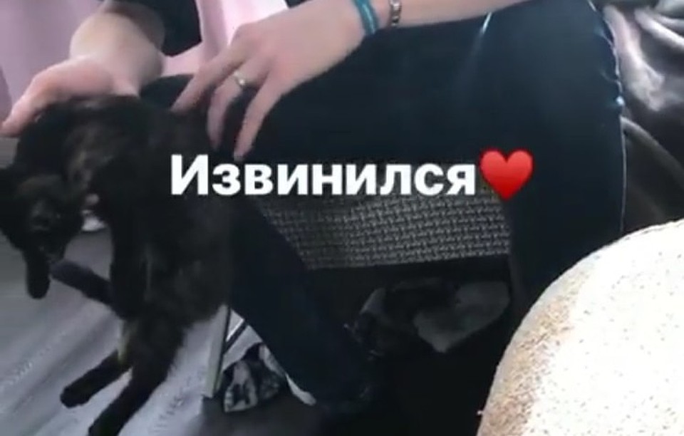 Фото: соцсети