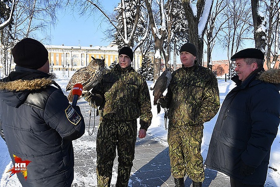 Журналист «Комсомолки» Александр Гамов, филин Филя с Алексеем Власовым, ястреб Альфа с Кириллом Ворониным и советник директора ФСО России, доктор исторических наук, профессор Сергей Девятов