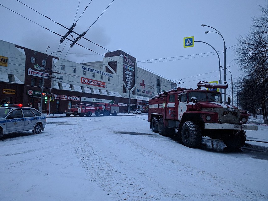 Фото: Полина ПРИЛУЦКАЯ