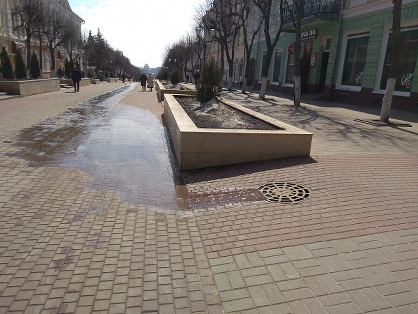 Фото: ОНФ по Орловской области