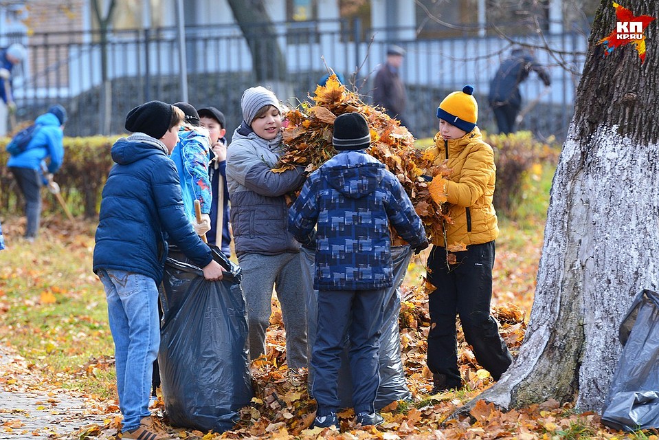 Орловских школьников трудоустроят в свободное от учебы время