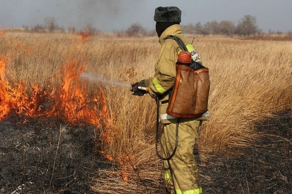 Белгородские спасатели зафиксировали первые палы сухой травы