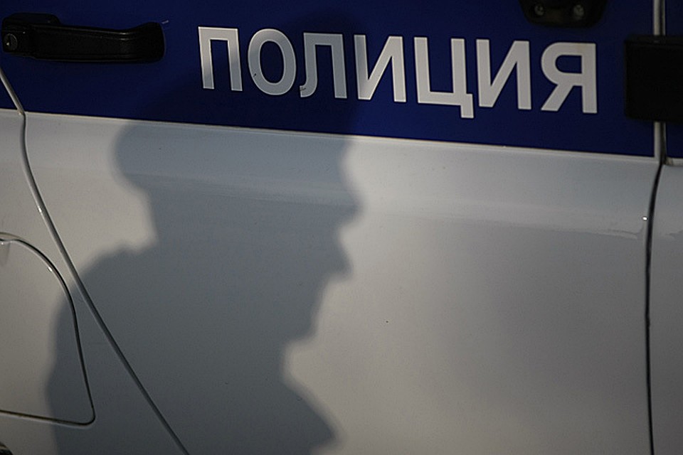 Вора, обладающего отличными навыками грузчика, быстро задержали.