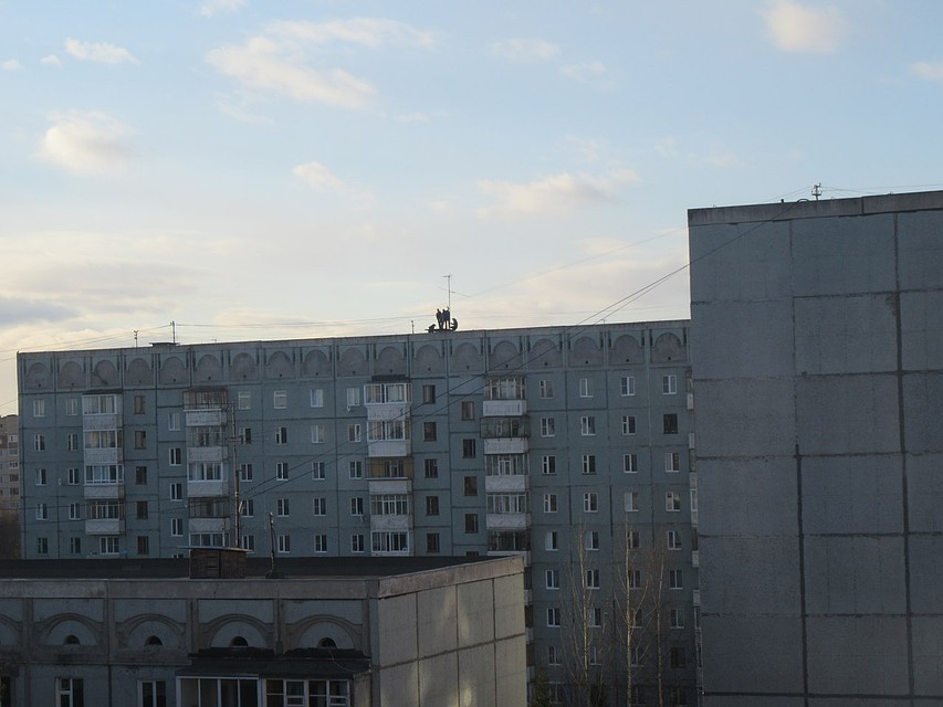 Фото соцсети