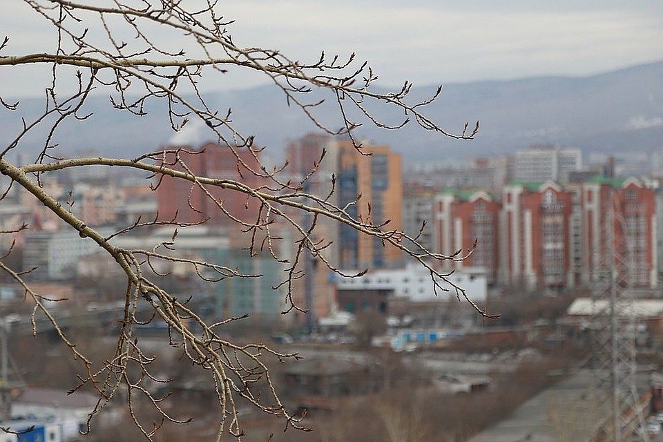По прогнозам синоптиков, завтра, 14 апреля, в краевом центре, а также в пригороде ожидается ветер с порывами до 20 метров в секунду.