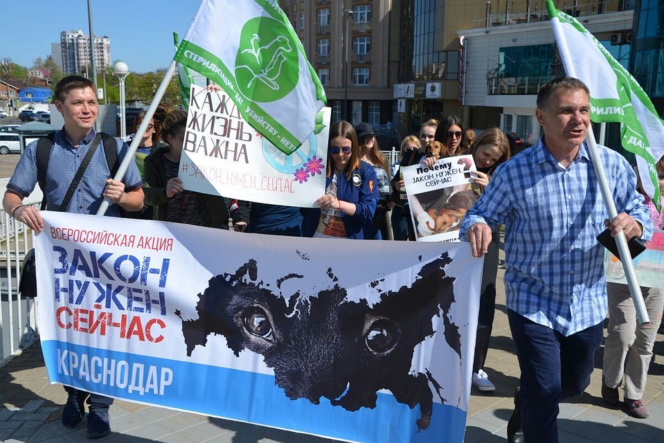 Стройную колонну демонстрантов было видно за квартал.