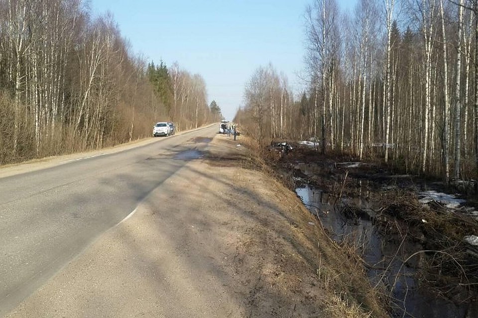 Японская иномарка вылетела в кювет Фото: УГИБДД РФ по Тверской области