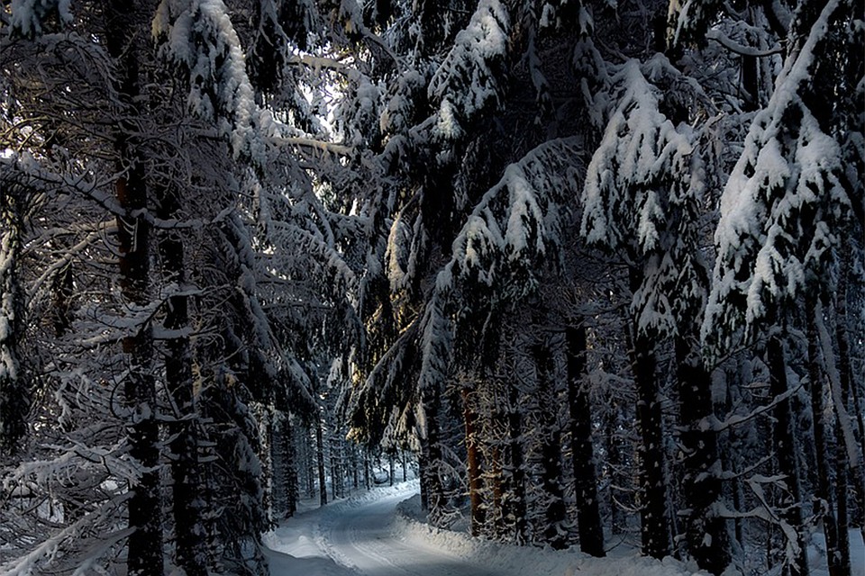 Фото: pixabay.com