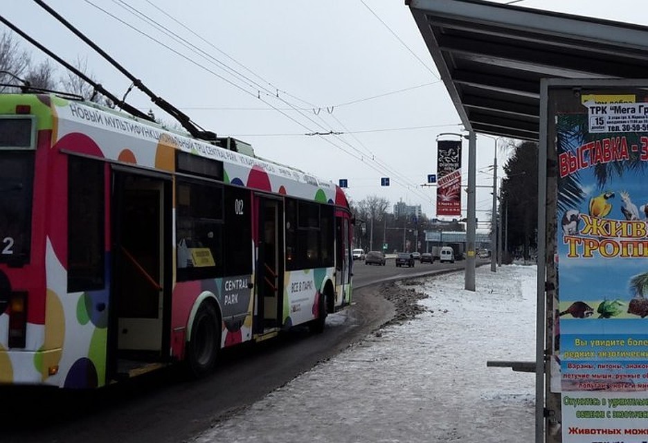 В акции могут принять участие и взрослые, и дети