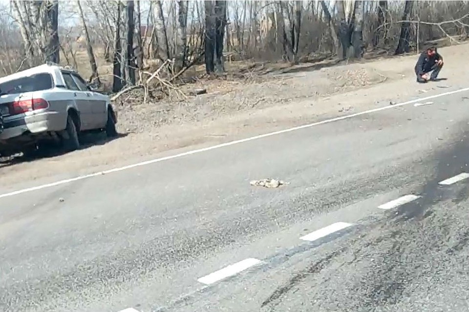 Отечественное авто от удара оказалось на обочине, у него смята вся передняя часть. Такие же повреждения у «Форда», вокруг иномарки брызги крови, на обочине сидит мужчина с окровавленным лицом. Фото: стопкадр