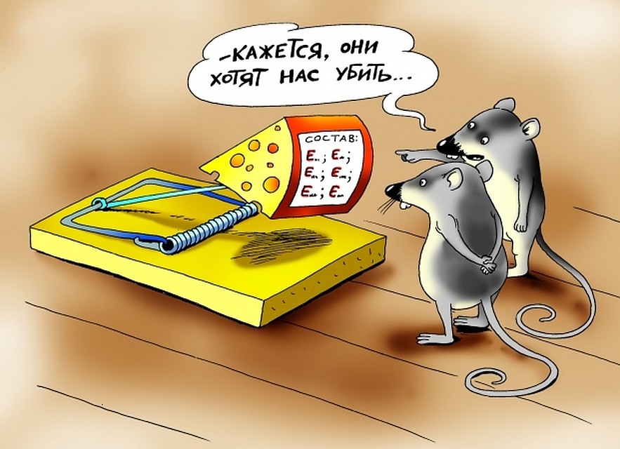 Поддельный сыр оказался еще и ужасным по качеству.