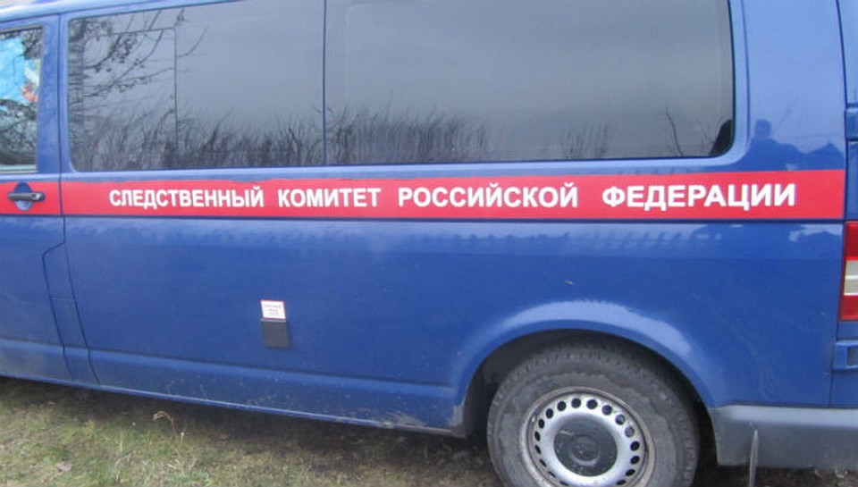Тайну страшной находки пытаются раскрыть в Следственном комитете.