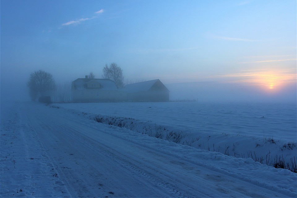 Фото: pixabay.com