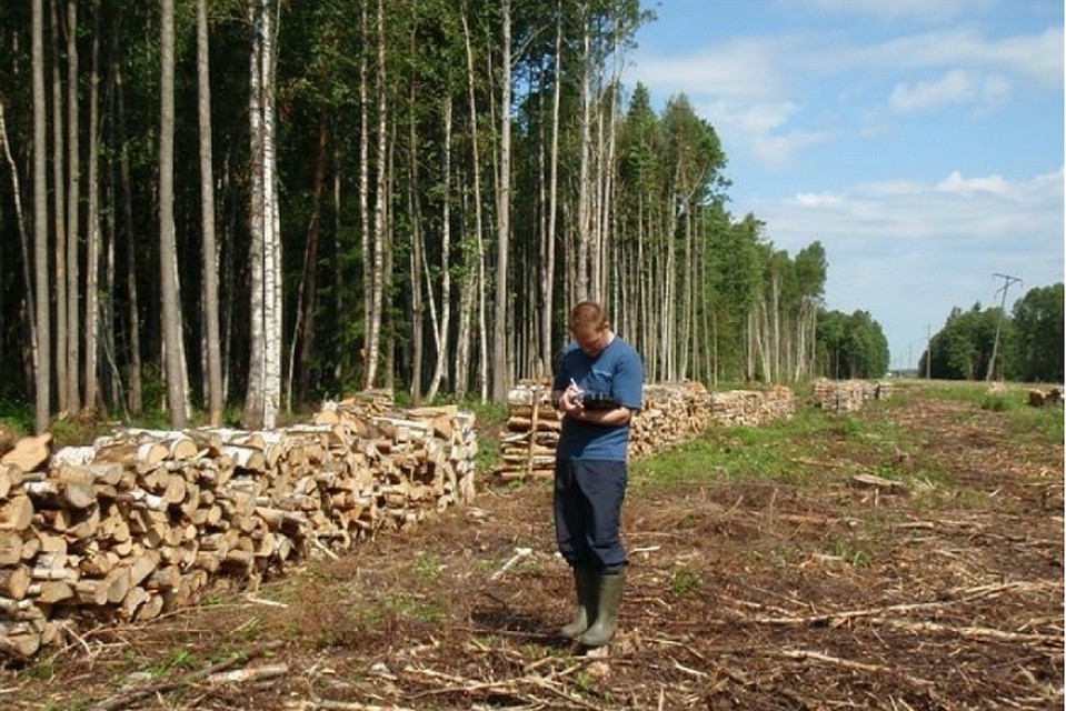 В Хабаровском крае появятся общественные экологические инспекторы