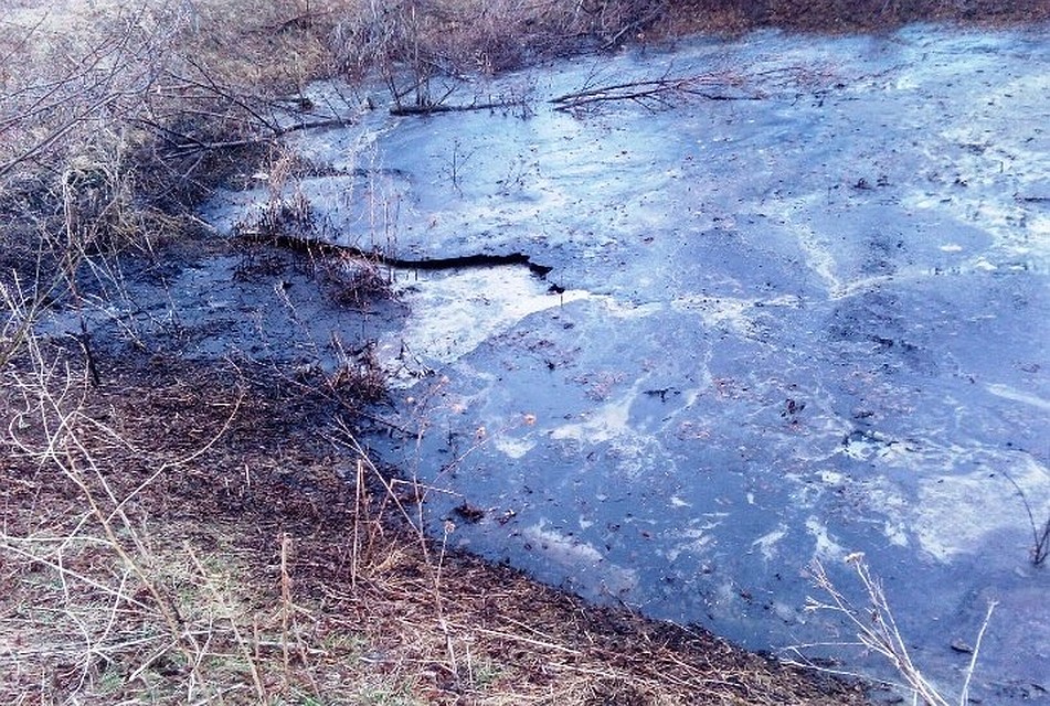 Вместе с шестилетним сыном в пруду едва не утонул его отец Вильнур