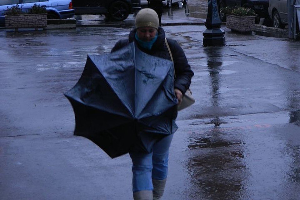 Новосибирцев предупредили о сильном ветре и дожде.