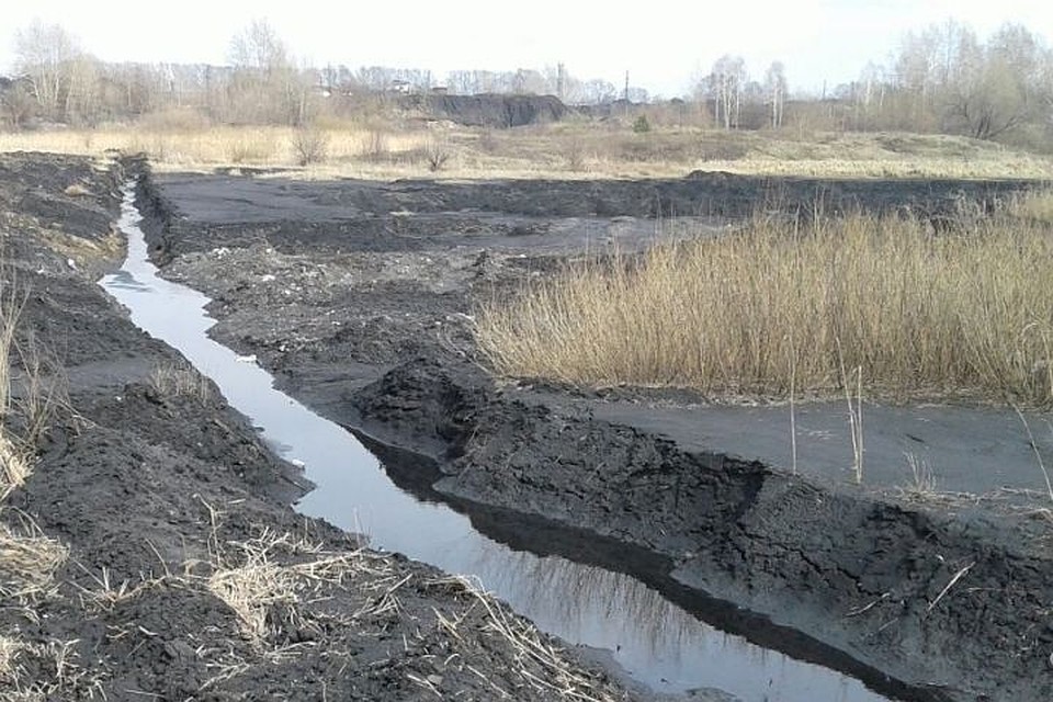 Фото: Сергей Кузнецов / "ВКонтакте"