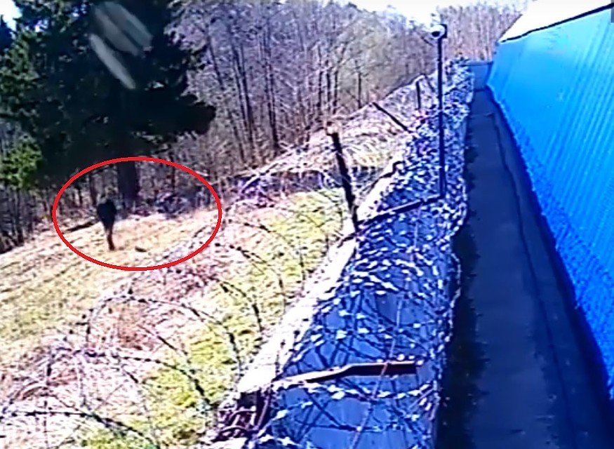 Фото: скриншот видео
