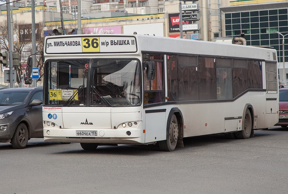 Пермские автобусники жалуются на дороговизну дизтоплива и запчастей.
