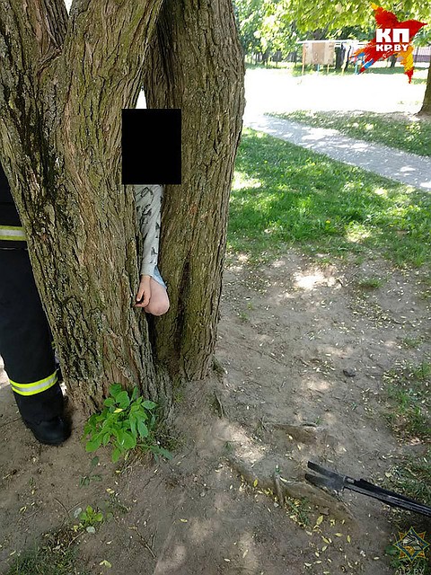 В Минске маленький мальчик застраял коленкой между стволами деревьев.