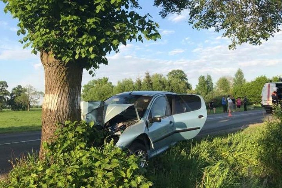 В результате наезда на дерево погибли двое пассажиров "Пежо".