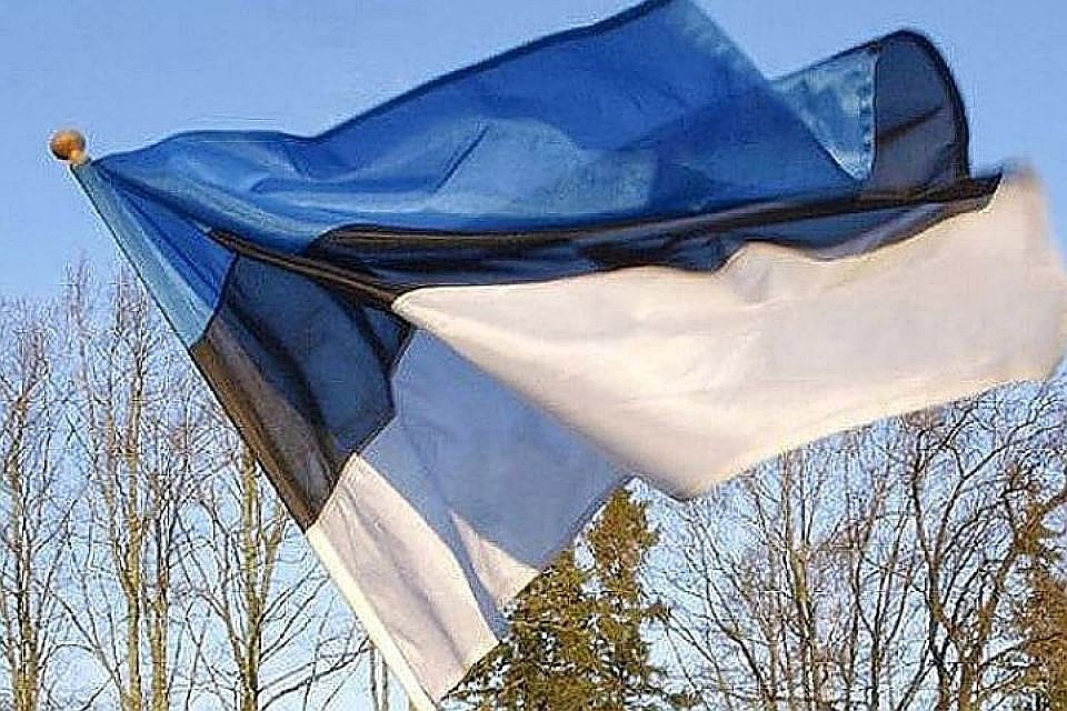 Эстония часто занимает сторону США во внешней политике. Фото: с сайта maaleht.ee