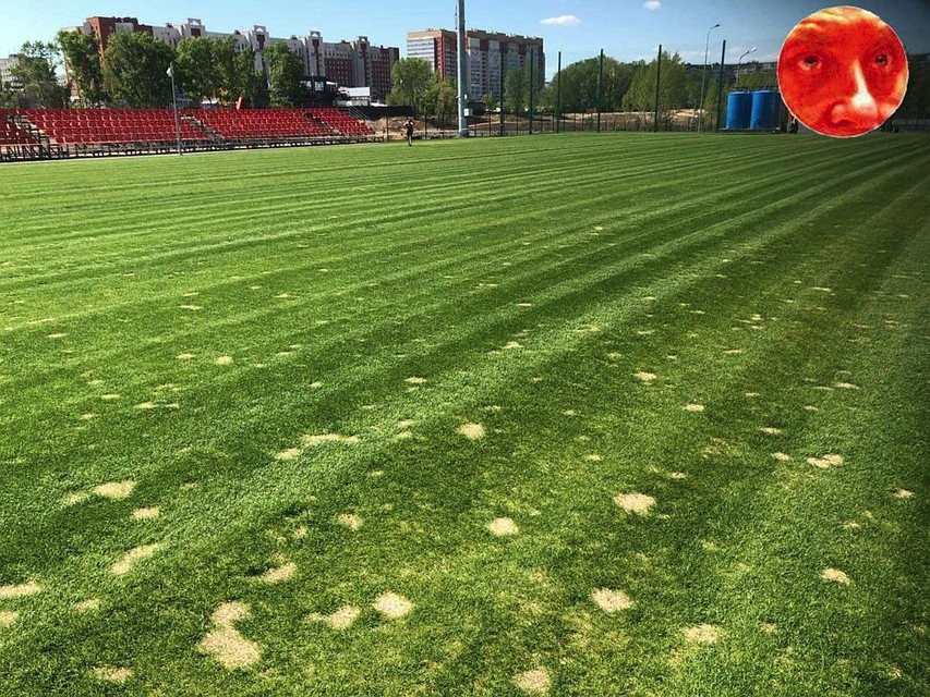 В соцсетях новость комментируют так: "Наш ответ Месси"