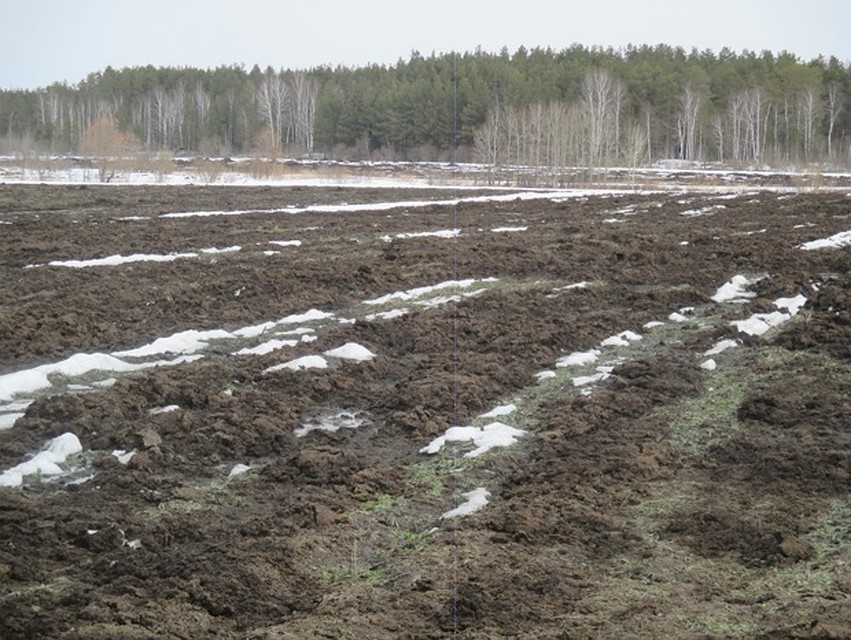 Под Тюменью обнаружено поле с кучами куриного помета. Фото Управления Россельхознадзора по Тюменской области