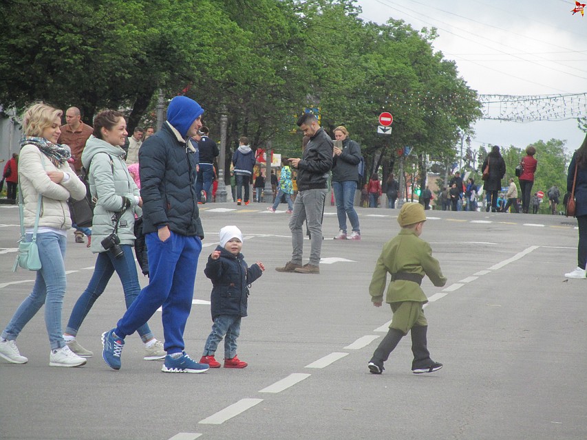 Печальная статистика жертв ДТП в этом году резко выросла в регионе