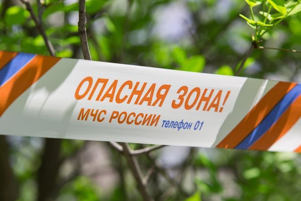 В лес волгоградцам советуют в эти дни не ходить!