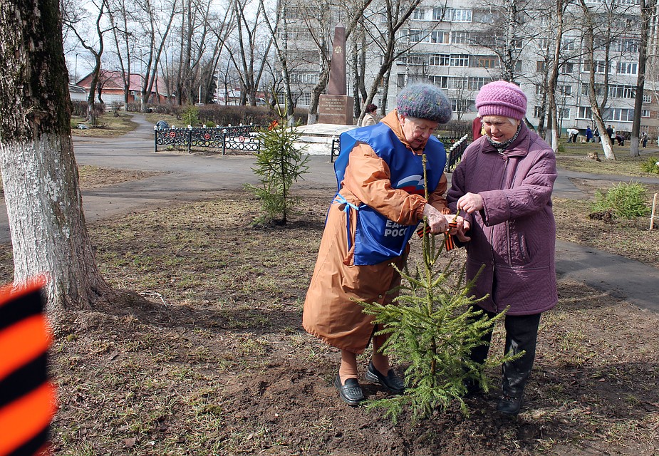 Порядка 700 тысяч жителей, которым в этом году или ранее исполнилось 70 лет, получат по пять тысяч рублей. Фото: Елена КОШКАЕВА