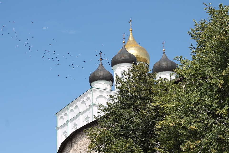 Подробную информацию можно узнать на сайте администрации Псковской области.