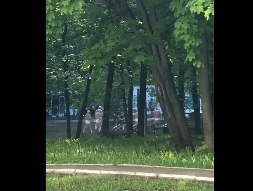 Фото: скриншот видео