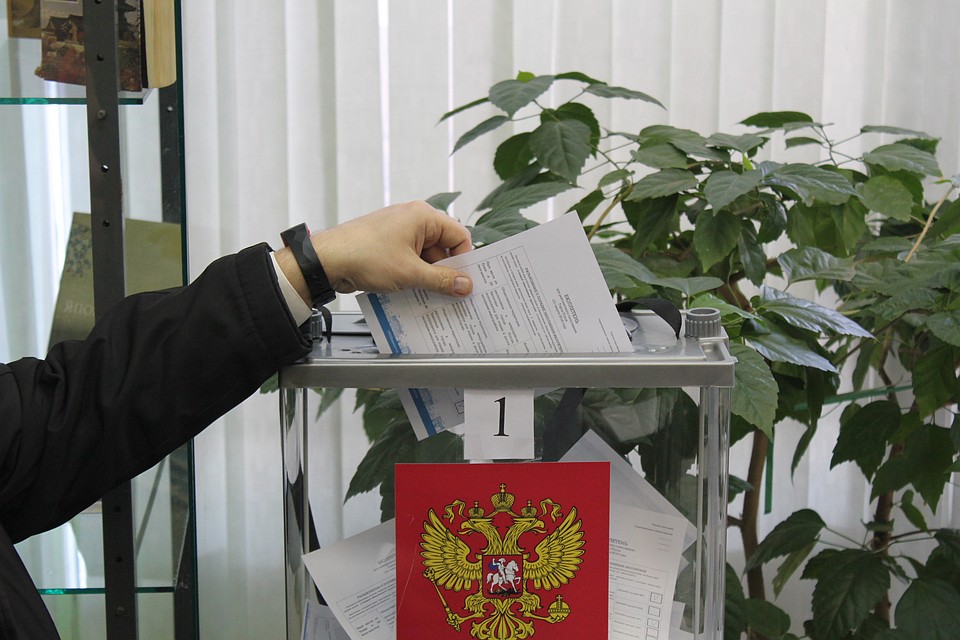 Проблемы в голосовании возникли только в одном из районов - в Псковском.